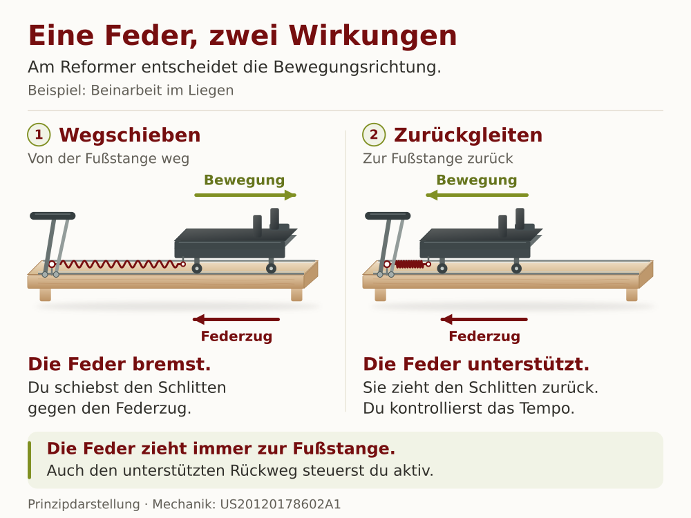 eformer-Feder im Vergleich: Widerstand beim Wegschieben, Unterstützung und aktive Kontrolle beim Zurückgleiten.