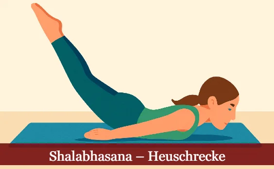 Shalabhasana – die Heuschrecke, stilisierte Abbildung