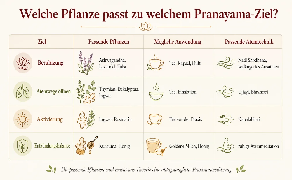 welche pflanze bei welchem pranayama