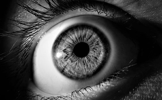 auge sw iris xo